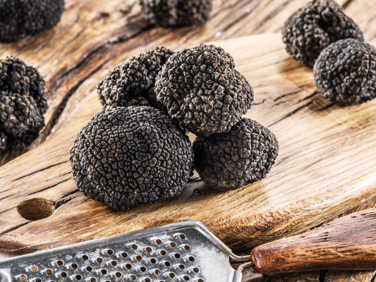 Truffes fraîches (Tuber Uncinatum) - 100 grammes