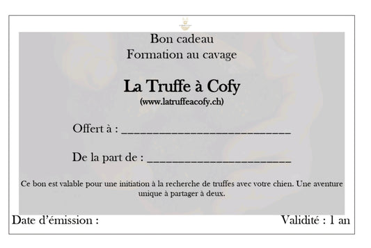(Bon cadeau) Cours & Formation au Cavage